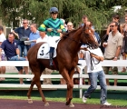 Peccato di Gola con in sella Gregorio Arena al Tondino del Premio Santiago Soto