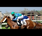 19)Walapai con in sella A. Fiori, batte Diagon  Drive e vince il Premio Truzzo (14-04-13)