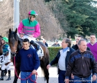 12)Pier Antonio Convertino in sella a Blu Petraeus rientra vincitore del Premio Handicap di Primavera( 13-04-13)