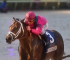 City Of LIght wins the Pegasus World Cup 2019