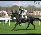 Romantic Wave, con in sella Fabio Branca, vince il Premio Mario Locatelli  (13-04-13)