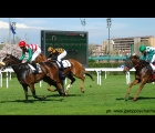 Candiani Street,con in sella Fabio Branca, vince il Premio Rho  (13-04-13)