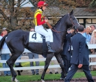 Cristian Demuro in sella a Nova Hawk al tondino del Premio Sergio Cumani