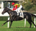 Nova Hawk vince il Premio Sergio Cumani con in sella Cristian Demuro