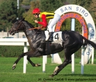 Nova Hawk vince il Premio Sergio Cumani con in sella Cristian Demuro