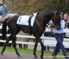 Amjad Al Aziz al tondino del Premio Milano Jockey Club Stakes PSA