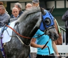 Athlete Del Sol al tondino del Premio Milano Jockey Club Stakes PSA