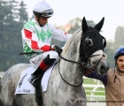 Furry con in sella D. Barros al tondino del Premio Milano Jockey Club Stakes PSA  