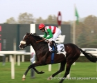 Full Drago con in sella Dario Vargiu vince il GP del Jockey Club G2