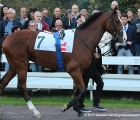 Royal Youmzain al tondino del Gran Criterium G2 