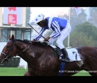 Royal Youmzain con in sella Edu Pedroza vince il Gran Criterium G2