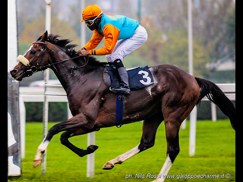 Earl of Tindsal montato da Pedroza vince il GP Jockey Club di Milano 