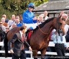 Lanfranco Dettori in sella a Retrieve al Tondino del Jockey Club