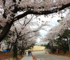 busan-ingresso-all'ippodromo-kra