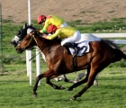 Milano corsa6_premio-ippodromo-del-sesana
