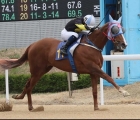 eclipse-berry-luna-stakes-1-kra