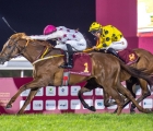 Qatar r4-aafoor-al-wajba-trophy-2