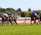 Samedi 5 octobre 2024, Hippodrome ParisLongchamp (Paris). – Prix Daniel Wildenstein (Gr2), Ramadan winner