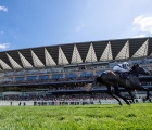 alpha-centauri-comes-home-clear-in-the-coronation-stakes-at-royal-ascot-22-06-2018