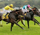 Young Rascal returned to action with a win at Newbury in September