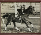 george-woolf-and-seabiscuit-photo-signed-by-c-s-howard-2
