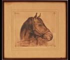 original-seabiscuit-etching-by-pierre-nuyttens-1944
