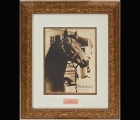 seabiscuit-an-american-legend-signed-photograph