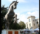 Il Cavallo di Leonardo in Tribuna Secondaria