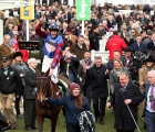 paisley-park-became-the-third-grade-1-winner-from-the-goffs-land-rover-sale-at-the-cheltenham-festival-14-03-2019