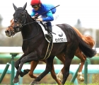 Montegrosso Tetsuya KimuraHiroshi Kitamura steps up in class and trip for the G2 Aoba Sho over a mile and a half at Tokyo, Japan, on Saturday, 28 April
