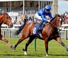 Sound And Silence returns to Ascot, UK, for his first start of 2018 in the G3 Pavilion Stakes over six furlongs on Wednesday, 2 May.