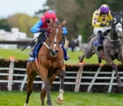 uk champion-novice-hurdle-facile-vega-shrugs-off-error-to-end-season-on-a-high_-punchstown-25-04-2023