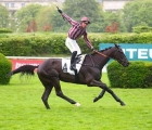 jean-stern-goliath-du-rheu-tient-enfin-son-groupe-dimanche-23-04-2023-auteuil-fra