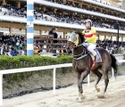 Jocket Lee Dong-ha rode his first Listed or Graded winner aboard Eodigana in last weekend's Donga Ilbo Trophy. The rider is back in action at Seoul on Saturday Kra