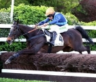 Léon Rambaud Goa Lil s'échappe, Dimanche 23 avril 2023, Hippodrome d’Auteuil (Paris)