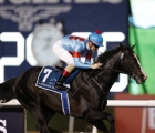 meydan-lord-north-terza-volta-nel-dubai-turf-con-dettori-25-03-2023