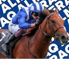 Almeraq sorprendente ad Haydock sul team della velocità UK