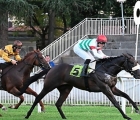 flag-of-fear-nel-premio-cancelli-milano-04-09-2026