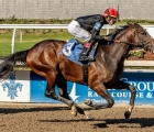 golden-tempo-a-future-champion-usa