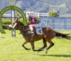 il-jockey-veles-primeggia-in-siepi