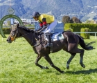 madrilene-con-alessio-pollioni-in-sella-vince-lo-steeple-trofeo-hotel-erika