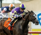 medoro-campione-usa