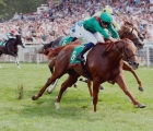 rayif-wins-le-maroi-fra