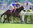 roma-capannelle-easy-pisa-perfetta