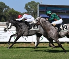 Roma: Mak’amera trionfa nel Premio H.H. Sheikh Zayed Bin Sultan Al Nahyan Listed Cup