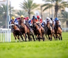 Doha Races