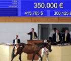 bbag-in-germania-top-price-per-un-frankel-03-09-2021