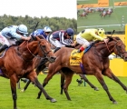 emaraaty-ana-just-hangs-on-from-starman-near-in-a-tight-finish-to-the-sprint-cup-uk-haydock-04-09-2021