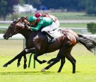 prince-dorange-saiydabad-retrouve-son-meilleur-jeu-fra-longchamp-05-09-2021