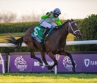 Aunt Pearl, LEXINGTON, KY–The European-trained runners may have been shut out on opening day of the Breeders’ Cup, USAKeeneland, 07 11 2020